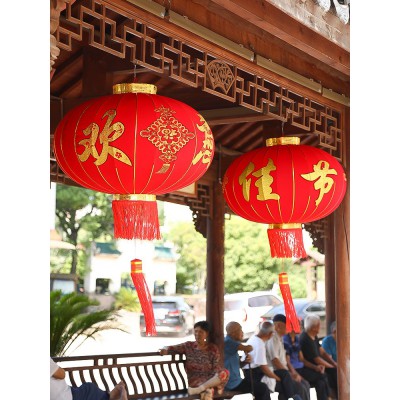新年装饰春节大红灯笼中国风户外大门口阳台一对元旦过年喜庆挂饰图2