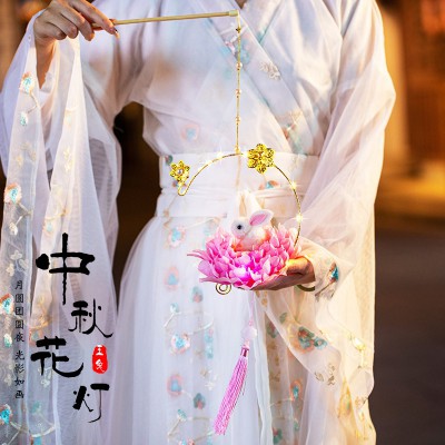 元宵节儿童灯笼玉兔子灯2022手工diy材料手提小花灯发光古风宫灯图3