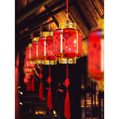 2023元旦灯笼装饰儿童电池发光手提音乐小红宫灯过年新年春节用品图3