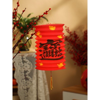 元旦节宫灯灯笼仿古风中式手提发光小挂饰过年新年装饰纸灯笼花灯图2