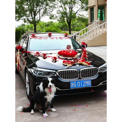 主婚车车队装饰手拉花结婚汽车丝带彩带副车头花高级婚礼婚庆用品图3