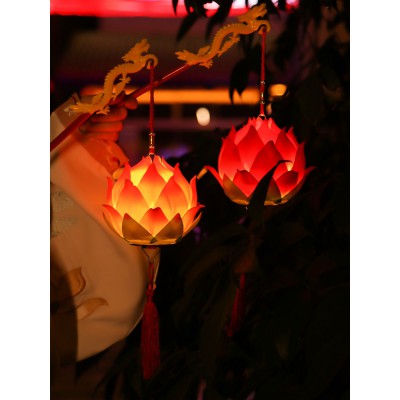 元旦节灯笼玉兔子手工diy材料 汉服古风儿童手提花灯挂饰宫灯装饰图4