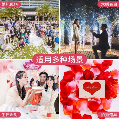 求婚 玫瑰仿真花瓣手撒花浪漫生日床上婚礼结婚婚房布置装饰假花图5