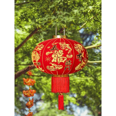 大红灯笼吊灯led阳台一对中国风福字春节过新年装饰户外大门挂饰图3
