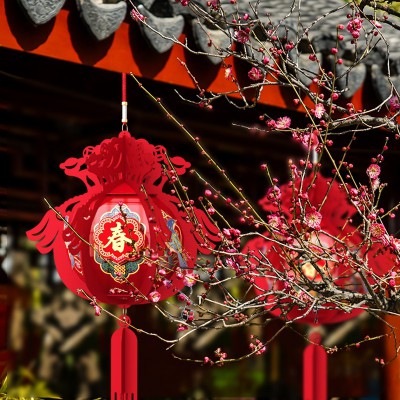 2023兔年春节过年新年装饰新款灯笼挂饰儿童手提毛毡布挂件diy图4