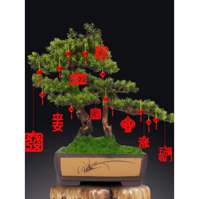 乔迁之喜装饰搬家入宅用品新居新房新年过年盆景挂件小灯笼挂饰图3