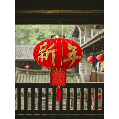 大红灯笼新年阳台一对led防水户外春节喜庆过年装饰布置大门挂饰图2