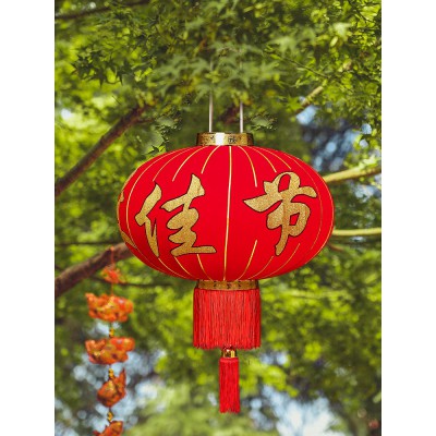 灯笼阳台一对大红灯笼吊灯挂饰新年装饰品大门户外大号led中国风图2