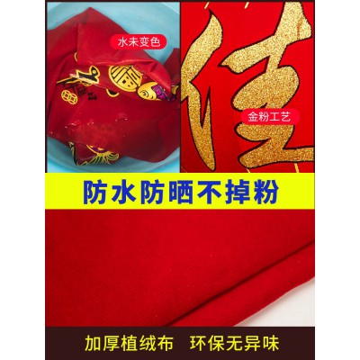 灯笼阳台一对大红灯笼吊灯挂饰新年装饰品大门户外大号led中国风图3