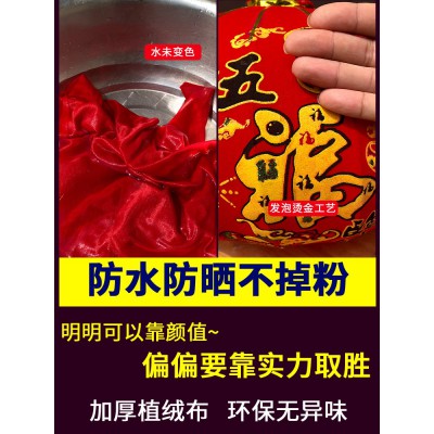 大红灯笼挂饰欢度佳节灯笼灯吊灯户外阳台防水广告小灯笼装饰用品图3